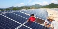 真相大白：光伏真的躺著都能賺錢？