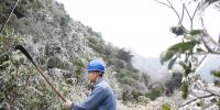 廣東受低溫天氣影響用戶全部復電