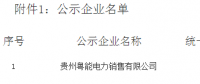 《關(guān)于貴州粵能電力銷(xiāo)售有限公司注冊(cè)成為貴州省電力自主交易市場(chǎng)主體相關(guān)信息的公示》