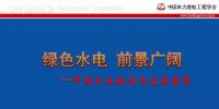 水力發(fā)電工程學(xué)會(huì)：我國水電規(guī)劃和發(fā)展前景的技術(shù)報(bào)告