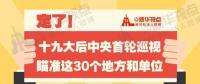 定了！華電集團、中核集團將接受十九屆中央第一輪巡視