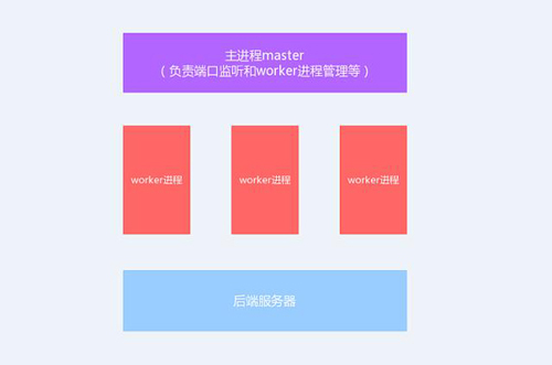 今天我們就來聊聊Nginx服務(wù)器的架構(gòu)！