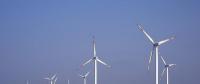 風電跌落谷底 棄風限電何時了？