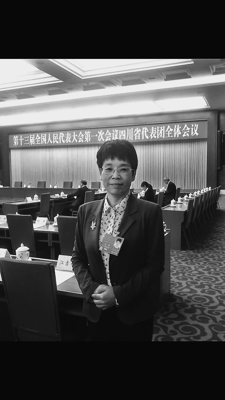 兩會(huì)訪談丨趙萍：系統(tǒng)降本促風(fēng)電高質(zhì)量開發(fā)