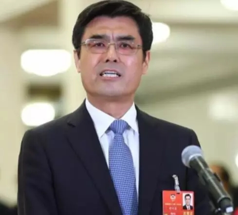 舒印彪講的故事：巴西這條特高壓造福2200萬(wàn)人！