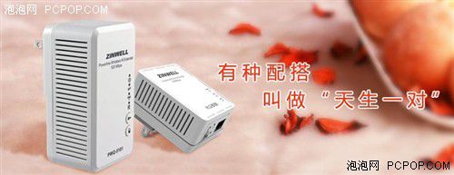 電力貓的版本眾多，從電力線傳輸技術(shù)上就可以分為HomePlug和G.hn，采用相同電力線通信技術(shù)的電力貓還可以分為有線電力貓和無線電力貓，而在無線電力貓中還有無線AP和無線路由的區(qū)別。外觀功能上的區(qū)別就更大了，以ZINWELL為例，就先后推出了單口有線電力貓，帶電源延長線的電力貓，多口有線電力貓，電力貓無線路由器，無線AP電力貓，帶電源插座的電力貓等。