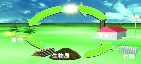 生物質(zhì)是替代核電、火電 彌補(bǔ)天然氣缺口的一種重要新能源