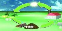 生物質(zhì)是替代核電、火電 彌補(bǔ)天然氣缺口的一種重要新能源