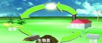 生物質(zhì)是替代核電、火電 彌補(bǔ)天然氣缺口的一種重要新能源