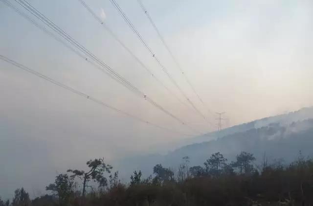 聽(tīng)說(shuō)最近輸電線路和鐵塔“火”啦！