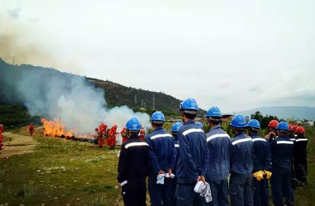 聽(tīng)說(shuō)最近輸電線路和鐵塔“火”啦！