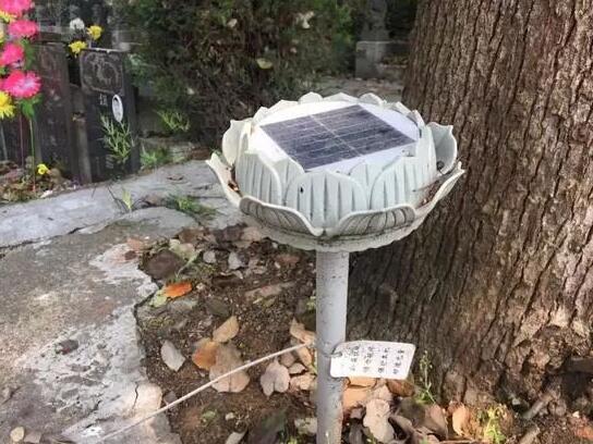 墓地傳來(lái)哭聲 周圍卻沒(méi)有人影 清明節(jié)你被光伏嚇著了嗎？