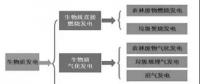 我國生物質氣化耦合發(fā)電技術及應用探討