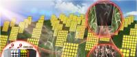 全無(wú)機(jī)鈣鈦礦太陽(yáng)能電池與水蒸汽化“敵”為“友”