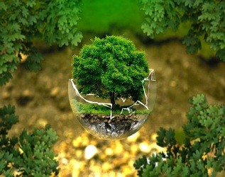 山東樂陵鐵營(yíng)鎮(zhèn)光伏發(fā)電項(xiàng)目助力149戶貧困戶脫貧