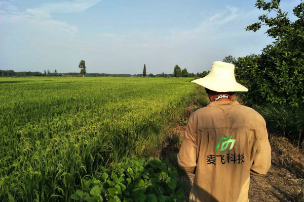 “AI+遙感”覬覦萬億級智慧農(nóng)業(yè)市場，這次沒有中間商賺差價 
