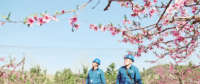 世界一流能源互聯(lián)網(wǎng)企業(yè)怎么建？國網(wǎng)已簽訂39個增量配電試點項目合作意向書