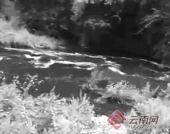 云南麗江部分水體變黑臭并有牲畜尸體，環(huán)保局：水閘放水引起