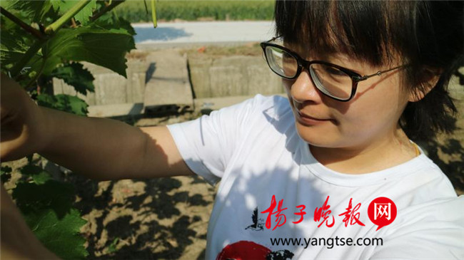 一個(gè)“80”后研究生的“綠色農(nóng)業(yè)夢(mèng)”：用“互聯(lián)網(wǎng)+”思維做農(nóng)業(yè)，新型職業(yè)農(nóng)民“潮”起來(lái)