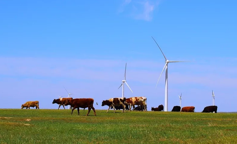 金風科技澳洲最大風電項目成功簽署并網協(xié)議