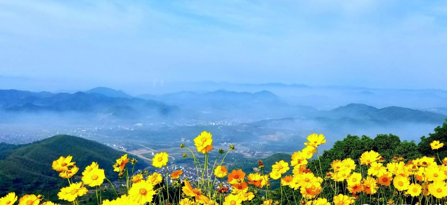 寧波一條風(fēng)電工程道路 變身“最美鮮花風(fēng)車(chē)公路”