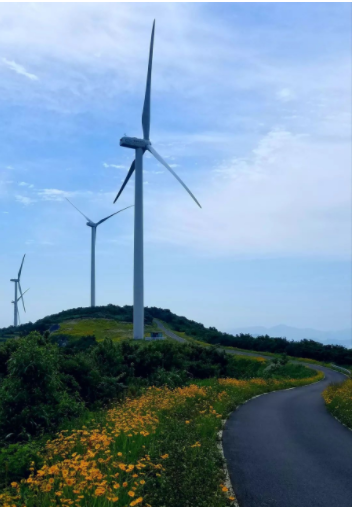 寧波一條風(fēng)電工程道路 變身“最美鮮花風(fēng)車(chē)公路”