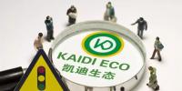 深度 | 凱迪生態(tài)“生死時(shí)速” 債務(wù)違約事件持續(xù)發(fā)酵