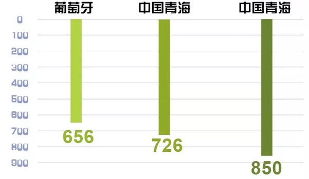 世界罕見｜剛剛 這個省不用火電了！