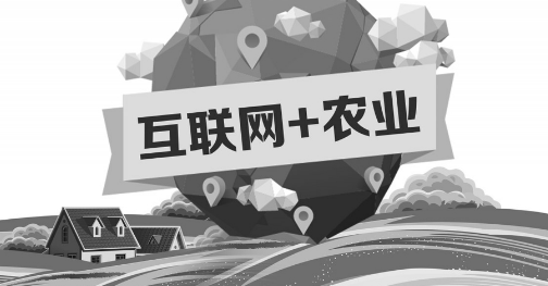 A5創(chuàng)業(yè)項(xiàng)目推薦：互聯(lián)網(wǎng)+農(nóng)業(yè)能碰撞出怎樣的新發(fā)展？
