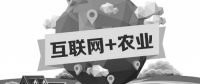 A5創(chuàng)業(yè)項目推薦：互聯(lián)網(wǎng)+農(nóng)業(yè)能碰撞出怎樣的新發(fā)展？