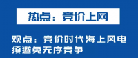海上風(fēng)電如何應(yīng)對(duì)競(jìng)價(jià)上網(wǎng)、大功率研發(fā)、事故風(fēng)險(xiǎn)？