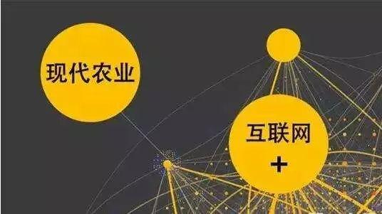 顛覆！裂變！賦能！互聯(lián)網(wǎng)+農(nóng)業(yè)領(lǐng)域的“豬飛起來了”