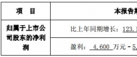 隆基、晶科齊發(fā)聲 “531”利大于弊？