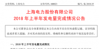 國家電投旗下上海電力上半年經營成績單出爐：完成發(fā)電量237.85億千瓦時