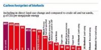 【數(shù)據(jù)】各種生物燃料能否減少碳排放？有的可以 有的卻比石油排放還高!