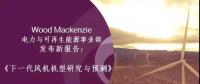 12-15MW+！歐洲“零補(bǔ)貼”海上風(fēng)場項目開發(fā)主要選型