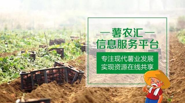 “互聯(lián)網(wǎng)+農(nóng)業(yè)”，創(chuàng)造農(nóng)村發(fā)展新活力