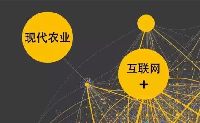 如何用“互聯(lián)網(wǎng)+”重塑農(nóng)業(yè)競爭優(yōu)勢？