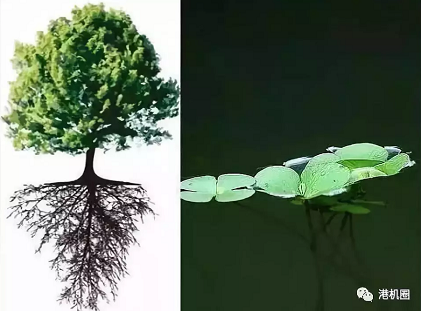 插樁式、坐底式 詳解海上風電安裝平臺的作業(yè)方式