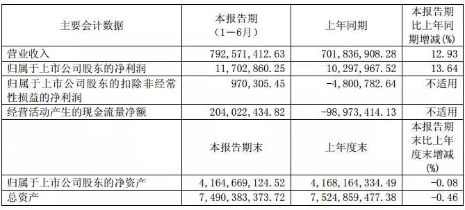 華儀電氣：上半年風(fēng)電營收3.57億元 完成6MW海上風(fēng)機(jī)概念設(shè)計(jì)、簽訂32萬千瓦風(fēng)電場開發(fā)協(xié)議！