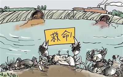 上游污水“毒死”萬畝大閘蟹，誰擔其責？