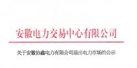 安徽1家具有發(fā)電業(yè)務(wù)的售電公司退出電力市場(chǎng)