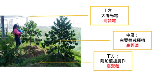 后補(bǔ)貼時代 “架高、一地多用”助力光伏平價上網(wǎng)