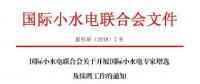 國際小水電專家增選，最后一周！