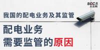 配電業(yè)務(wù)需要監(jiān)管的原因、我國的配電業(yè)務(wù)及其監(jiān)管
