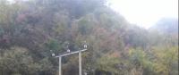 湖北整治關(guān)停100多座小水電站 , 其中宜昌48座、神農(nóng)架林區(qū)21座、恩施20座