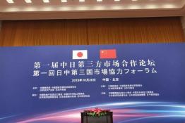 安倍晉三訪華 協(xié)鑫、天合和晶科為光伏行業(yè)長(zhǎng)臉了！
