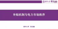 陳啟鑫：補(bǔ)貼機(jī)制與電力市場(chǎng)秩序