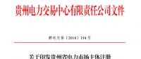 關于印發(fā)貴州省電力市場主體注冊管理辦法的通知