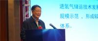 中國(guó)能源研究會(huì)副秘書(shū)長(zhǎng)王凡：截止到2018年7月 我國(guó)有近20座城市規(guī)劃和布局發(fā)展氫能與燃料電池產(chǎn)業(yè)